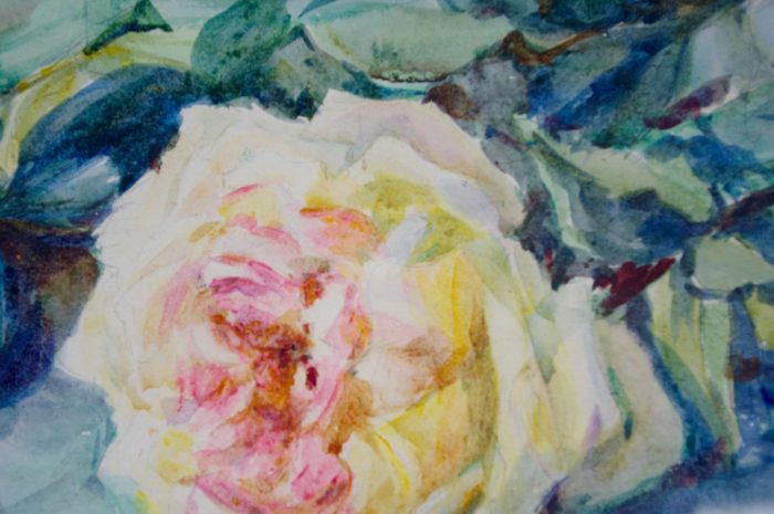 aquarelle bouquets roses charliat