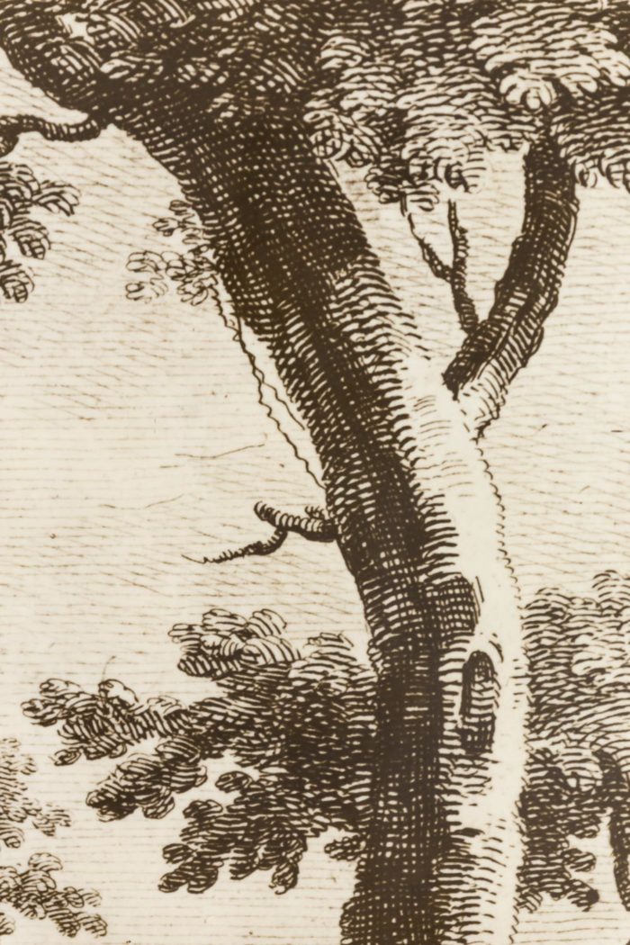 fornasetti porte papier peint decor gravure arbre