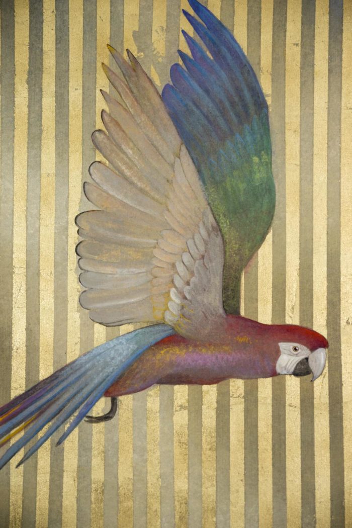 toile peinte perroquet multicolore