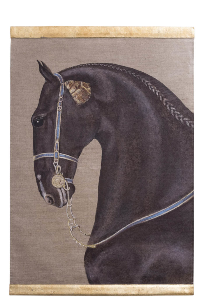 portrait cheval lusitanien noir