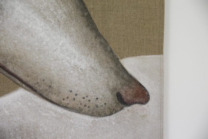 canvas greyhound nose