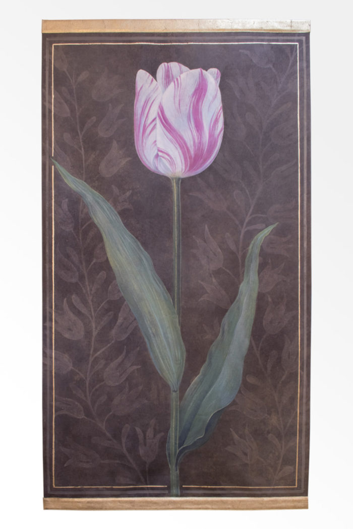 canvas tulip