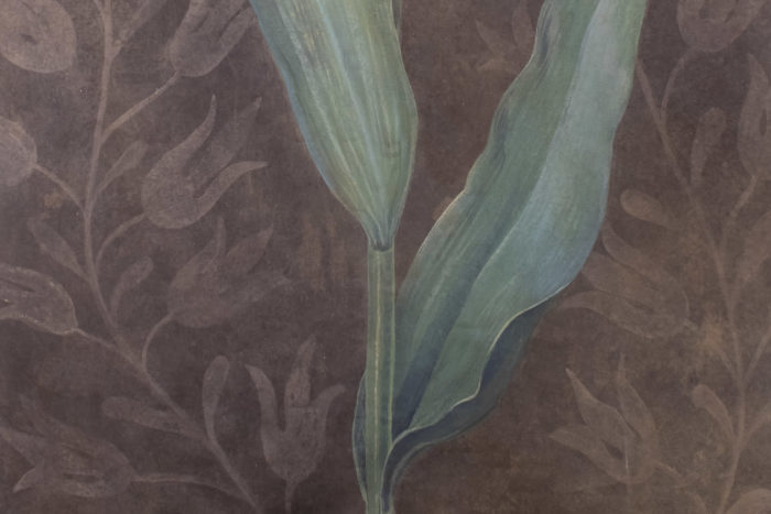 canvas tulip brown background