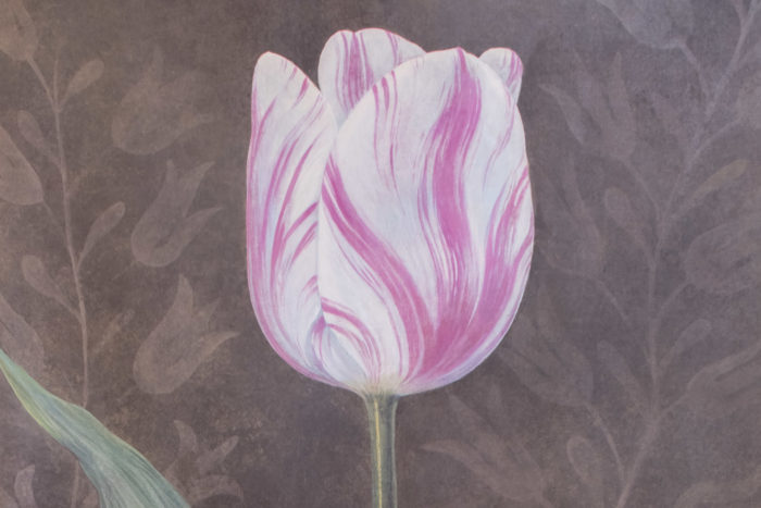 toile tulipe rose blanche