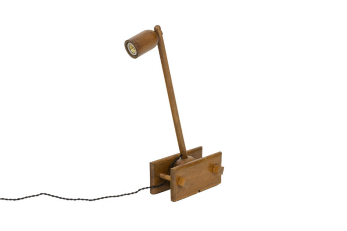 Articulated lamp 1